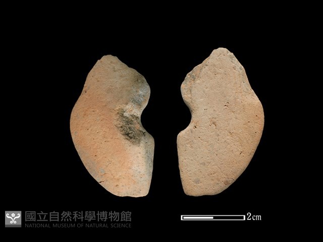 紡輪藏品圖，第1張