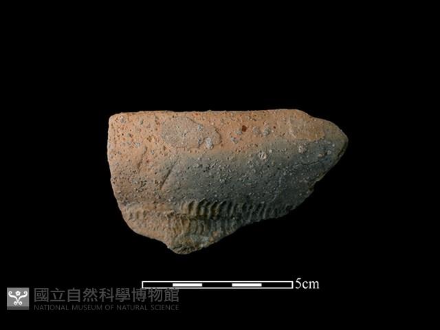 陶罐藏品圖，第1張