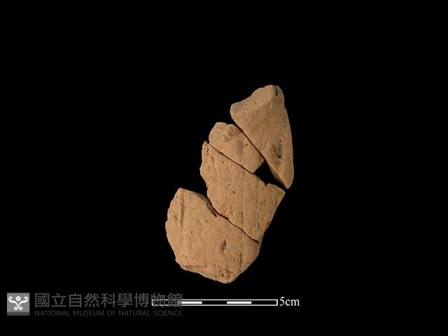 連杯形器藏品圖，第1張