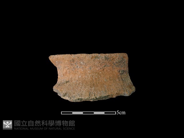 陶罐藏品圖，第1張