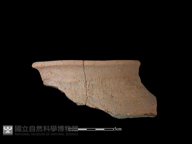 陶罐藏品圖，第1張