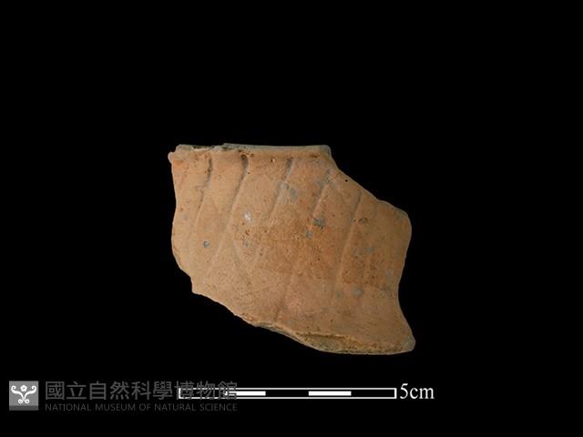 連杯形器藏品圖，第1張