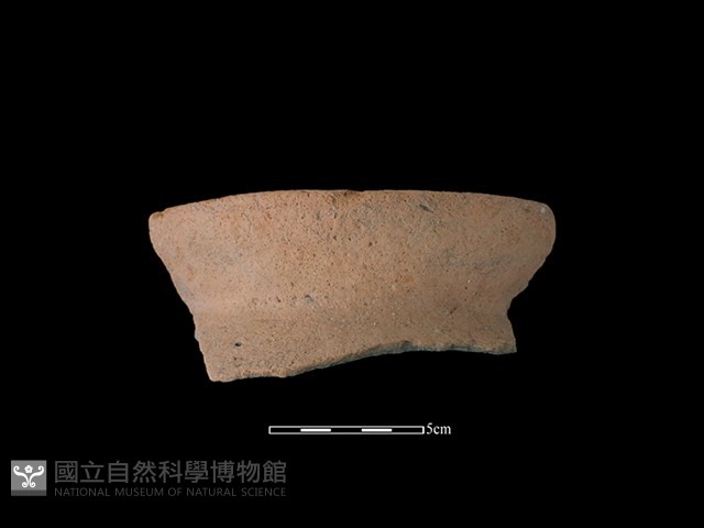 陶罐藏品圖，第1張