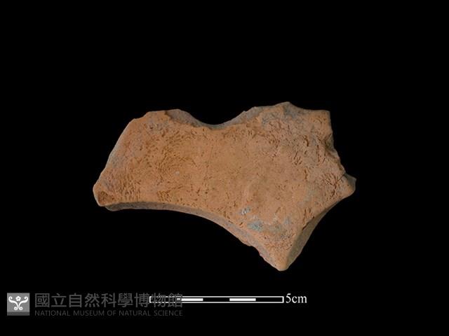 連杯形器藏品圖，第1張