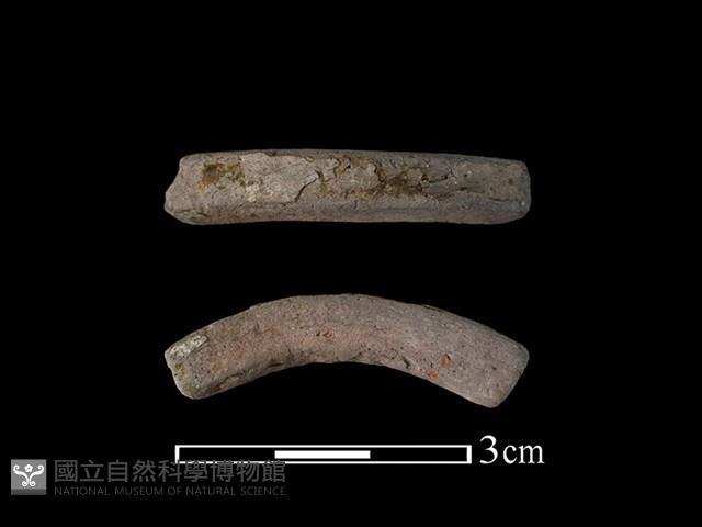 陶環藏品圖，第1張