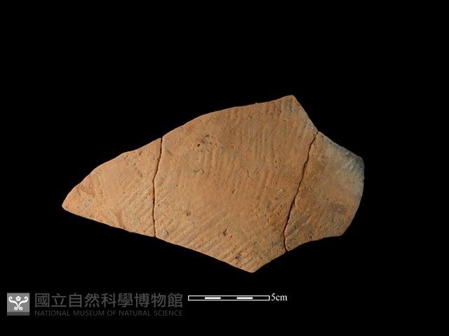 帶紋飾陶片藏品圖，第1張