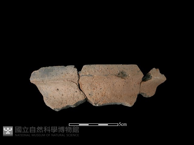 陶罐藏品圖，第1張