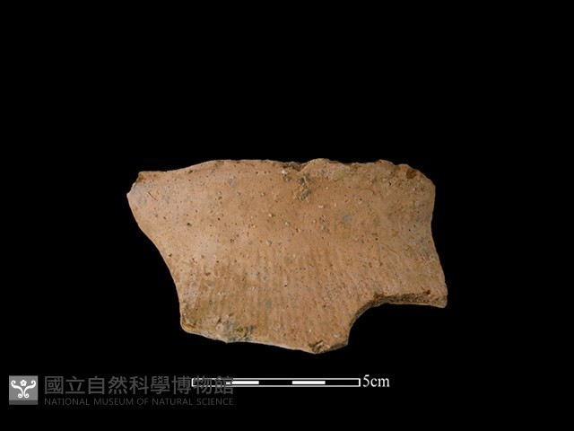 陶罐藏品圖，第1張