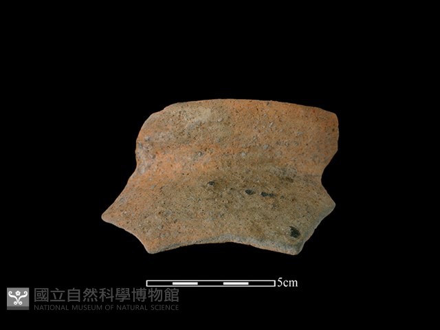 陶罐藏品圖，第1張