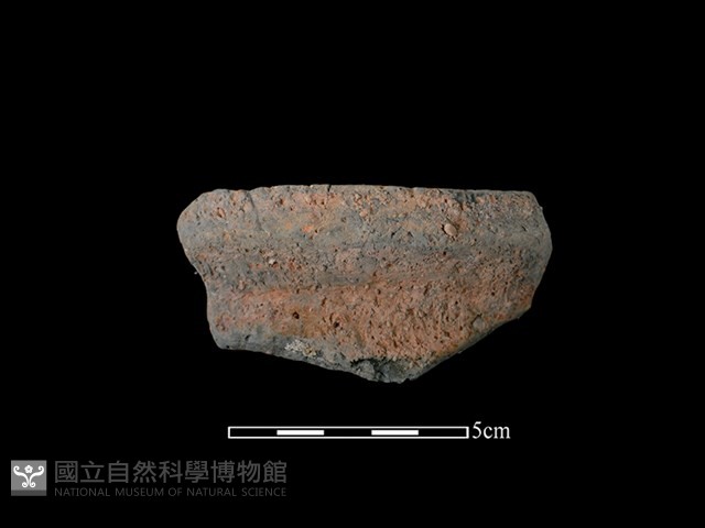 陶罐藏品圖，第1張