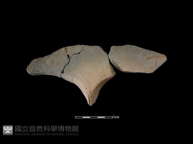 連杯形器藏品圖，第1張