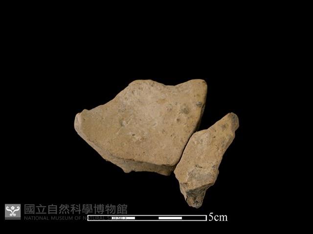 連杯形器藏品圖，第1張