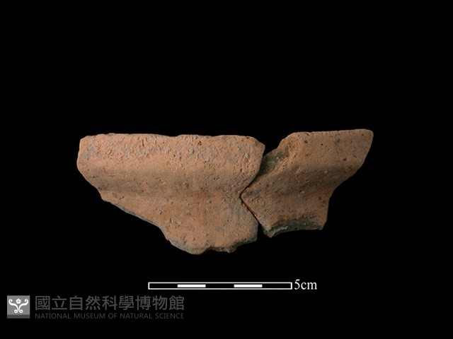 陶罐藏品圖，第1張