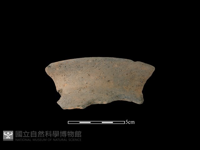 陶罐藏品圖，第1張