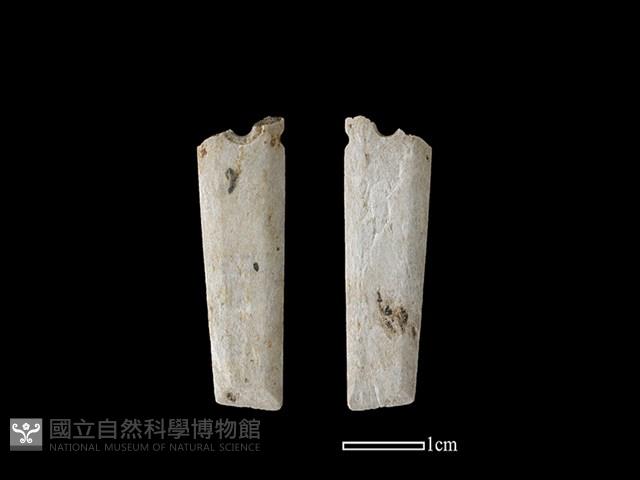 矛鏃形器藏品圖，第1張