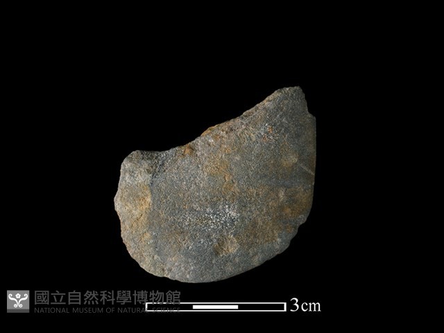 磨製斧鋤形器藏品圖，第1張