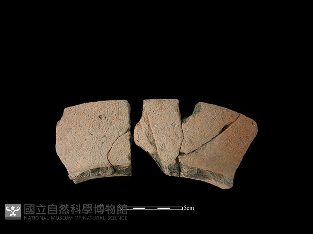 陶罐藏品圖，第1張