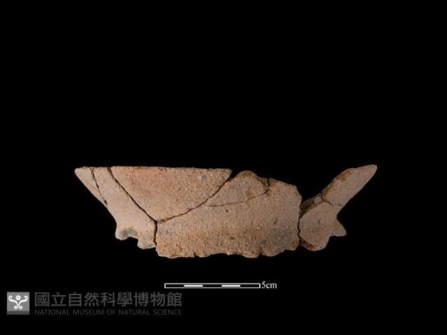 陶罐藏品圖，第1張