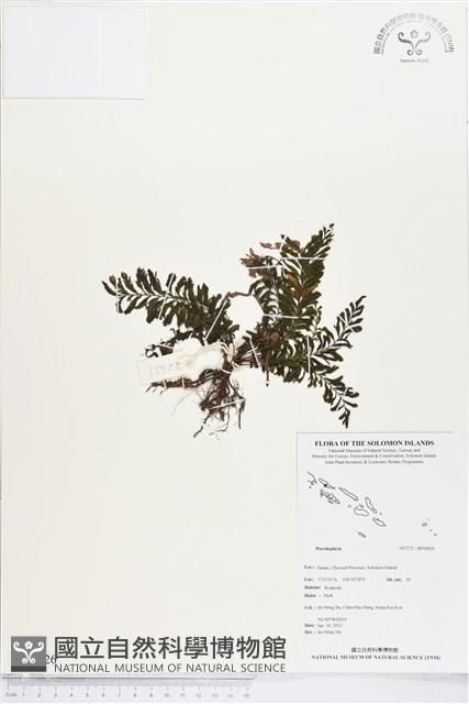 登錄號:BP00826藏品圖，第1張