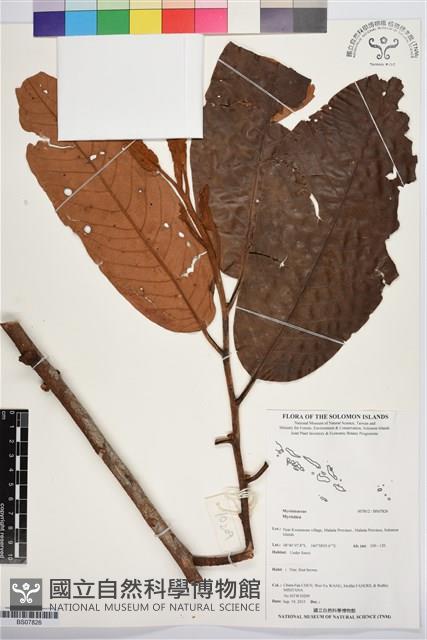 登錄號:BS07826藏品圖，第1張