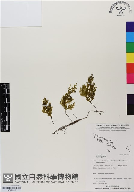 登錄號:BP03026藏品圖，第1張