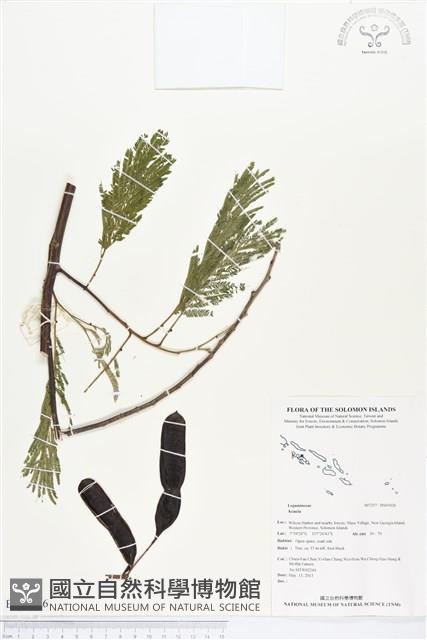 登錄號:BS03026藏品圖，第1張