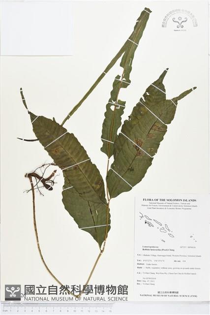 Accession Number:BP00626 Collection Image