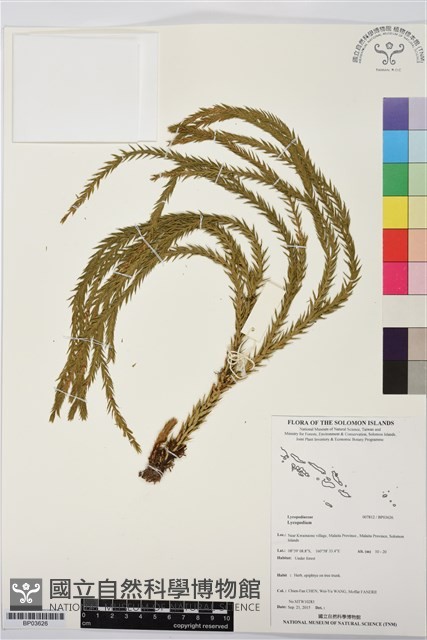 登錄號:BP03626藏品圖，第1張