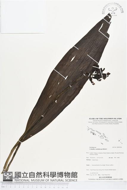 登錄號:BS03626藏品圖，第1張