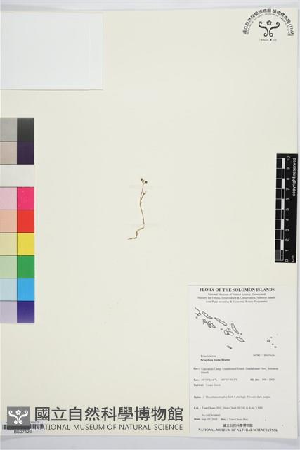 登錄號:BS07626藏品圖，第1張