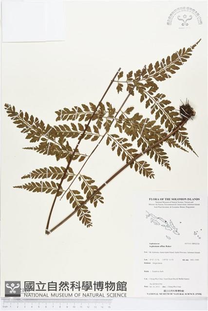 登錄號:BP02126藏品圖，第1張