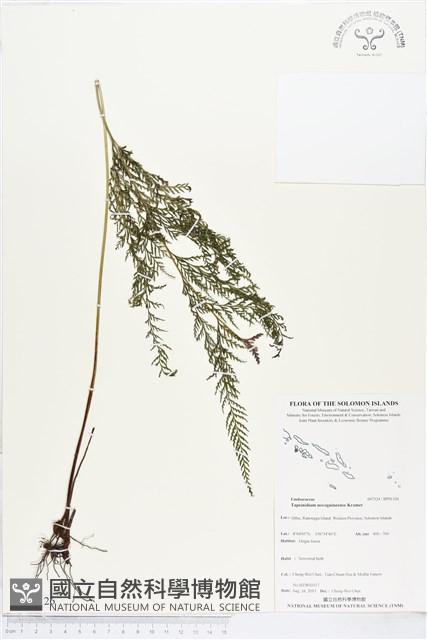 登錄號:BP01126藏品圖，第1張