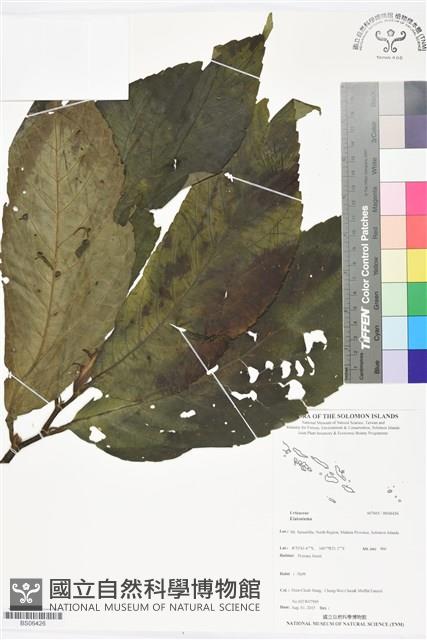 登錄號:BS06426藏品圖，第1張