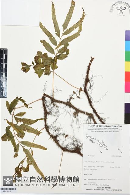 登錄號:BP03426藏品圖，第1張