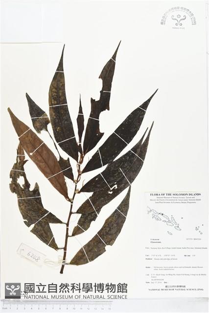 登錄號:BS05226藏品圖，第1張