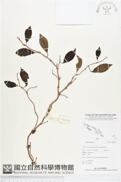 登錄號:BS03226藏品圖，第1張