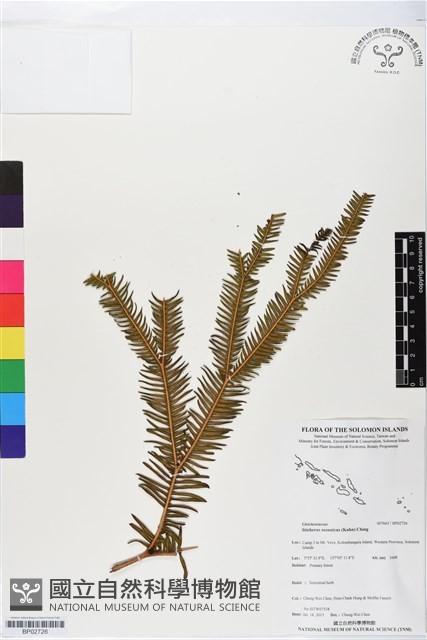登錄號:BP02726藏品圖，第1張