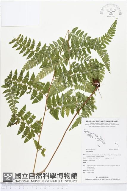 登錄號:BP00726藏品圖，第1張