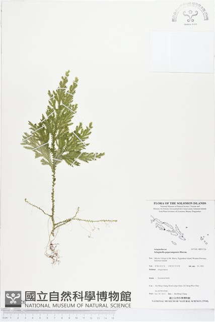 登錄號:BP01726藏品圖，第1張