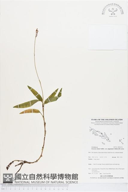 登錄號:BS04726藏品圖，第1張