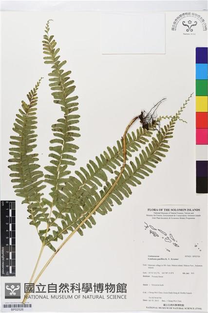 登錄號:BP02526藏品圖，第1張