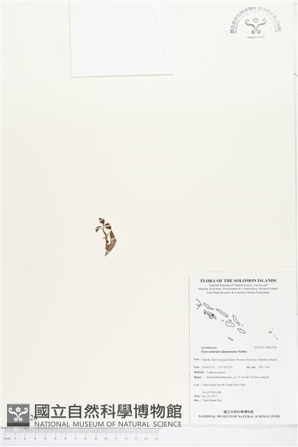 登錄號:BS02526藏品圖，第1張