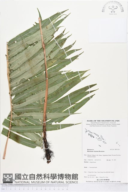 登錄號:BP01526藏品圖，第1張