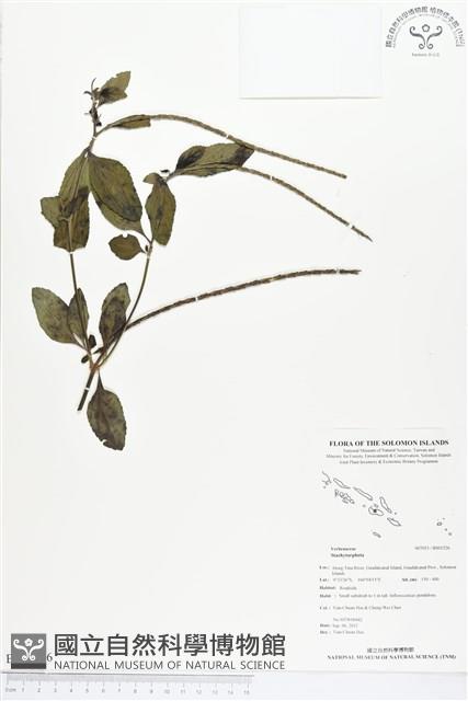 登錄號:BS01526藏品圖，第1張