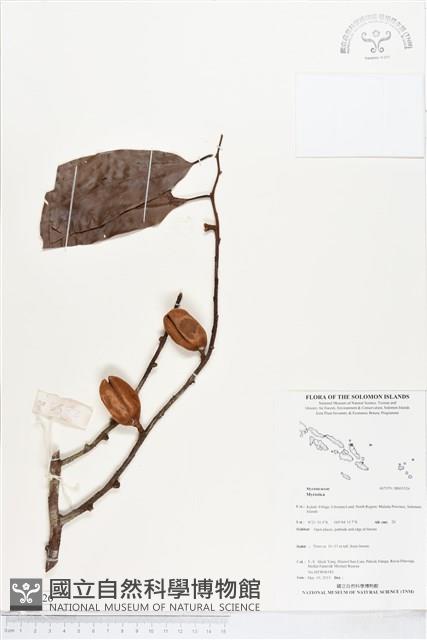 登錄號:BS05526藏品圖，第1張