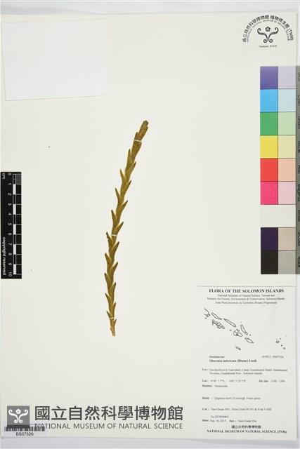 登錄號:BS07526藏品圖，第1張