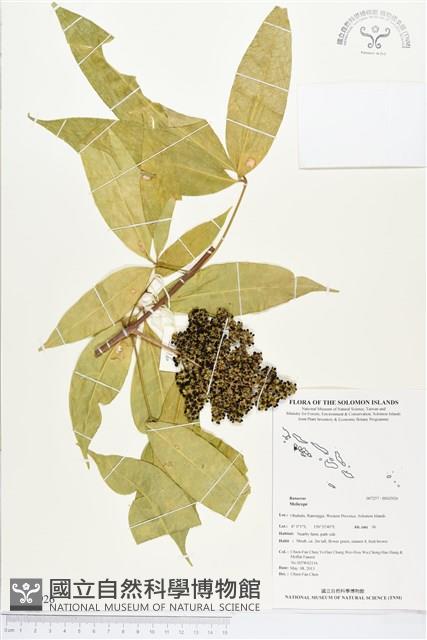 登錄號:BS02926藏品圖，第1張