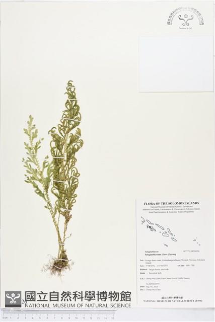 登錄號:BP00926藏品圖，第1張