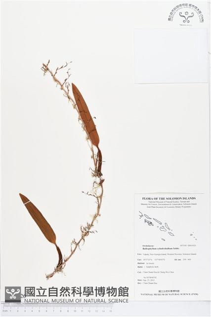 登錄號:BS01926藏品圖，第1張