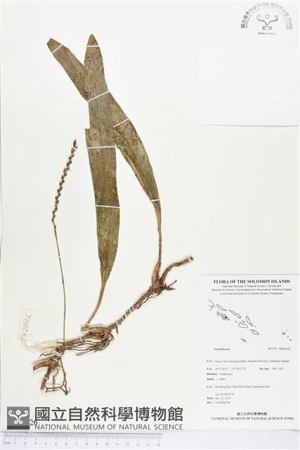 登錄號:BS03326藏品圖，第1張